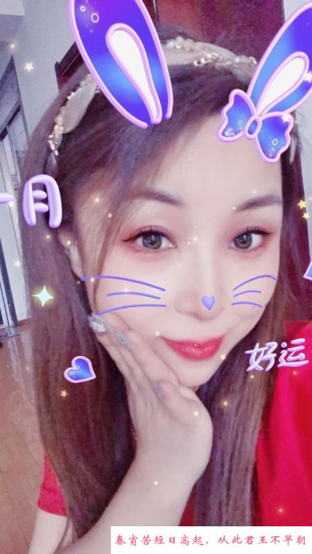 北辰小燕子 第2张