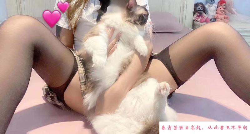蜀山小仙女 第1张