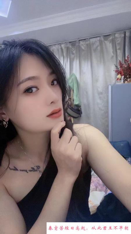 丹丹三通菊花 第3张