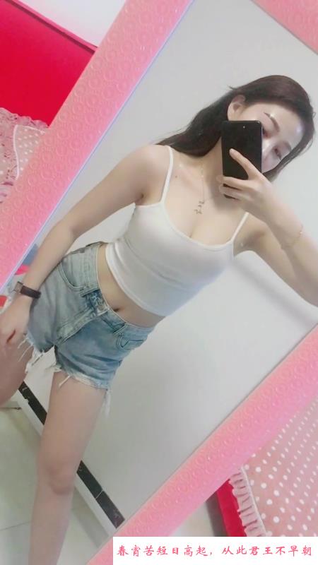 成华区小野猫 第1张