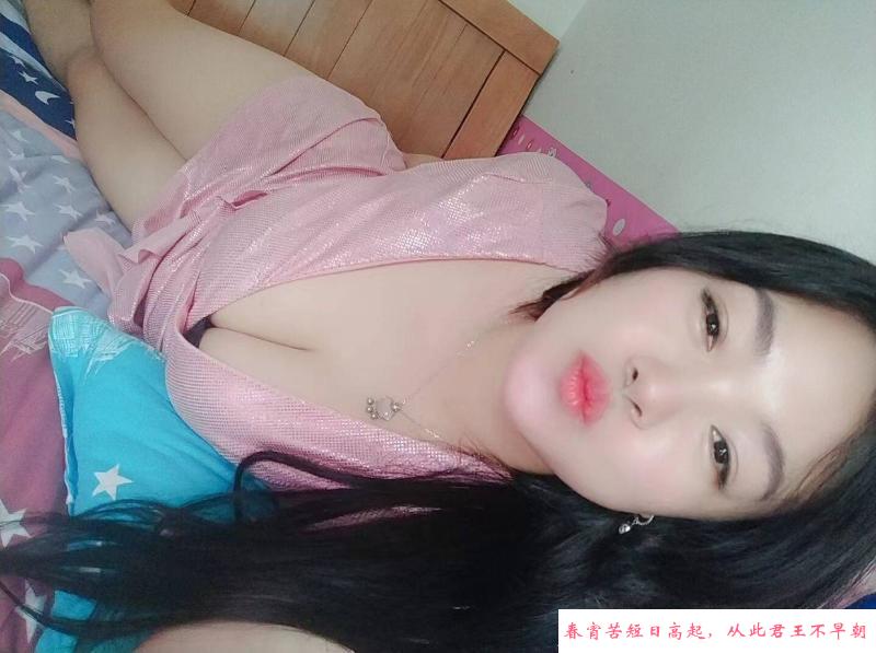 梅花园小爱 第1张