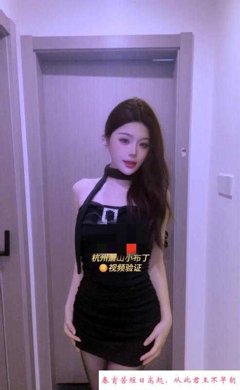 杭州布丁可视频验证 第3张