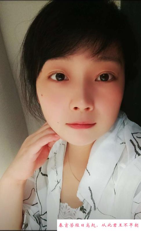 海曙电动小马达 第1张
