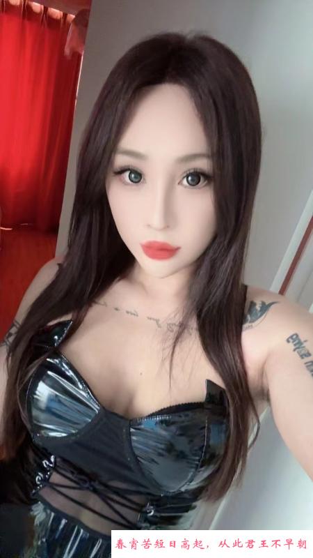 大连ts凯丽 第4张