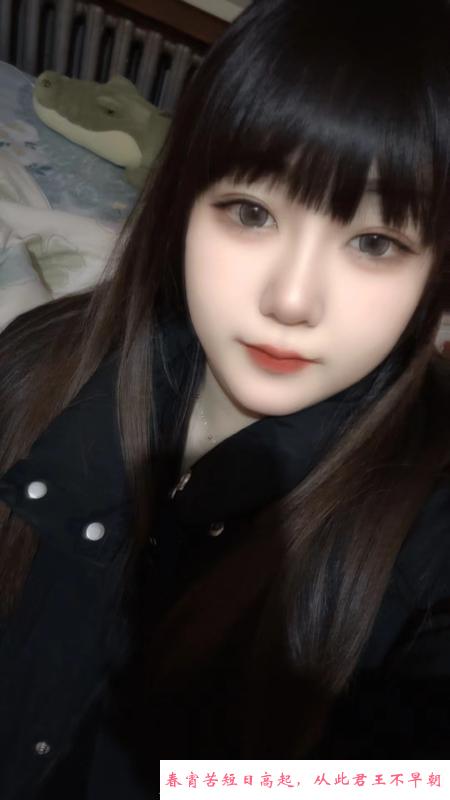 香坊小坦克 第1张