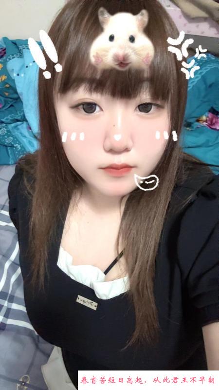 香坊小坦克 第2张