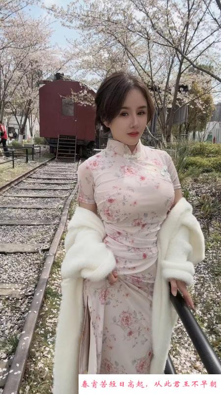 大奶旗袍妮妮 第1张