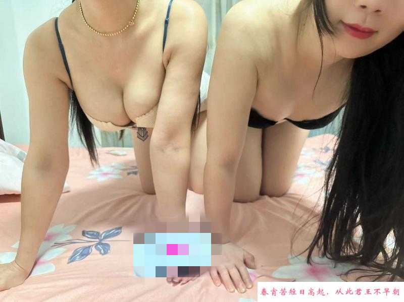 大奶双飞包夜 第1张