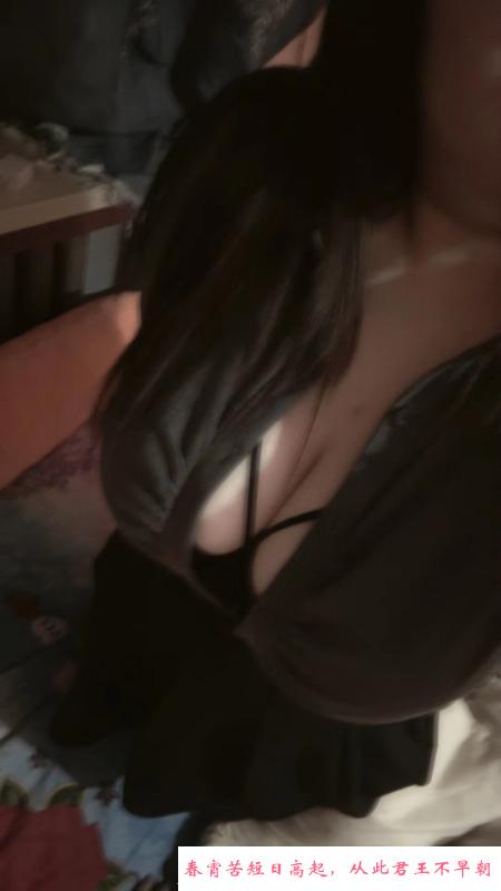南岗小坦克 第1张