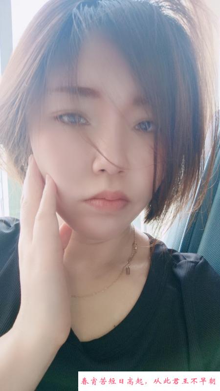 沈阳小少妇 第1张
