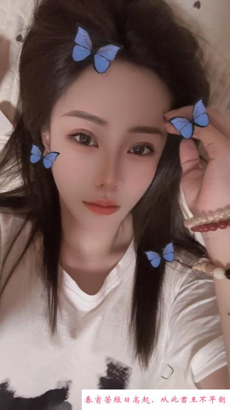 西青中北镇木木 第1张