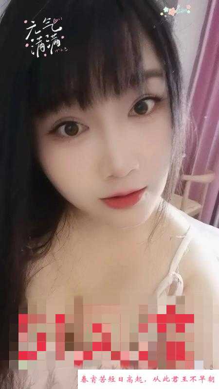 蜀山区TK猫 第1张