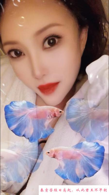 火瓦巷内蒙美熟女 第2张