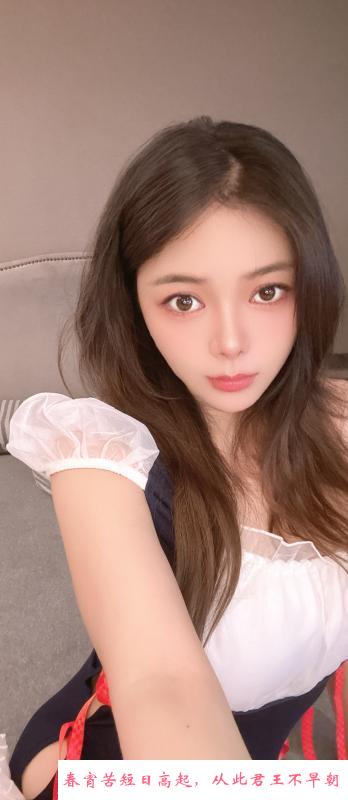 上城服务系喵喵 第1张