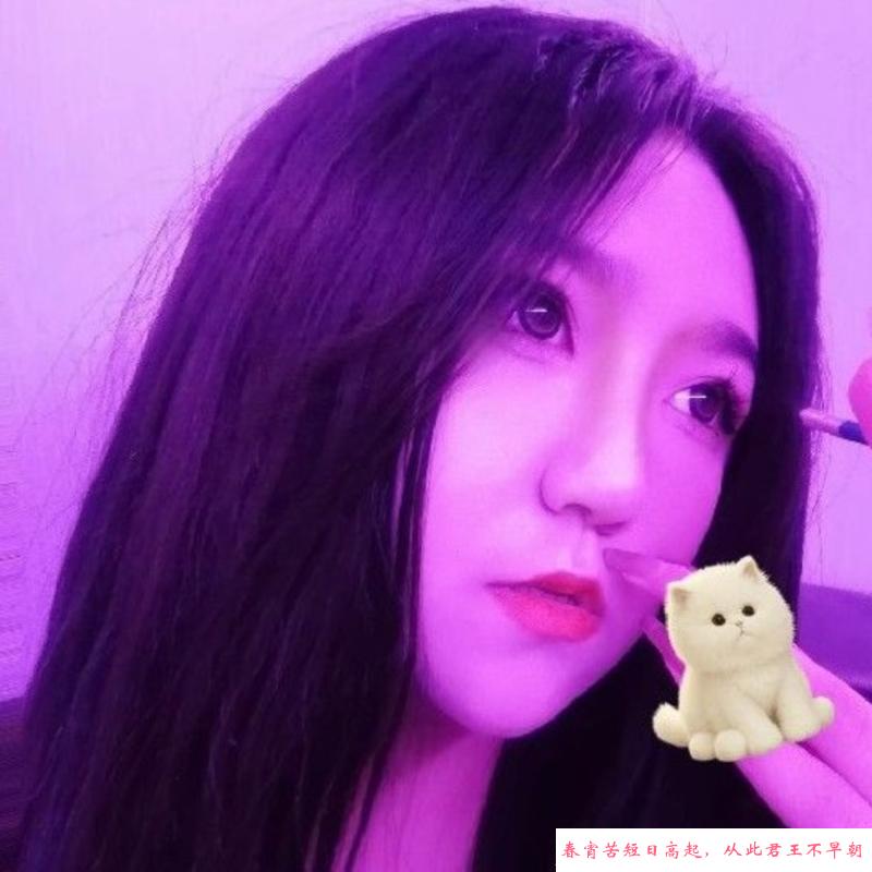 哈尔滨情情 第1张