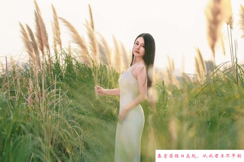 西安果儿 第1张