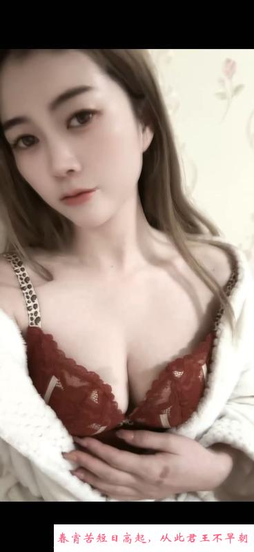 二探团子 第1张
