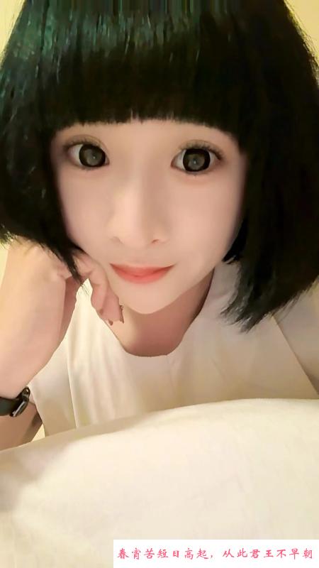 市北紧B小宝贝 第1张