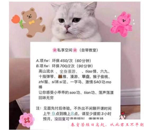 国贸环保少妇小燕子 第2张