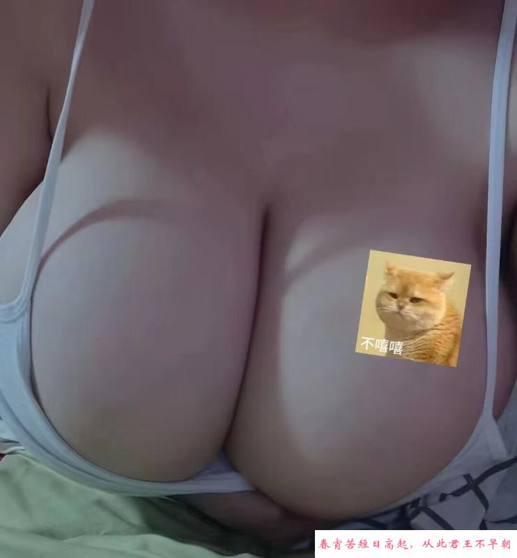 上海巨乳丰臀妹 第1张