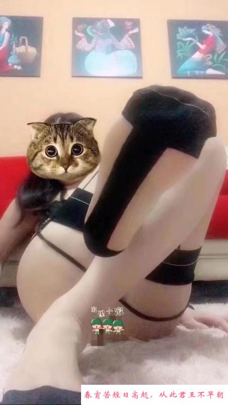 福田性感骚妇 第3张