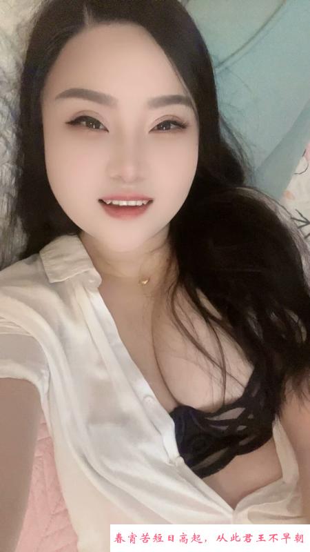 普陀真如猫猫 第1张