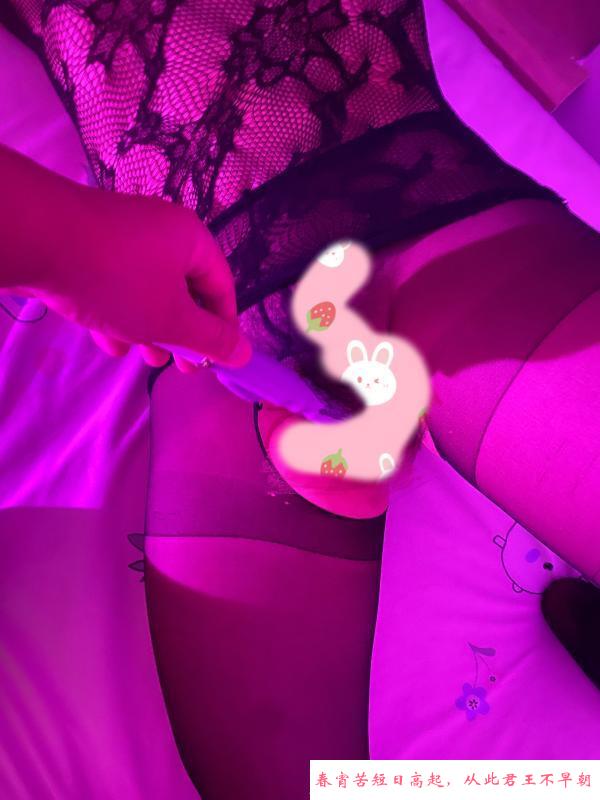 流连忘返的菊花妹 第2张