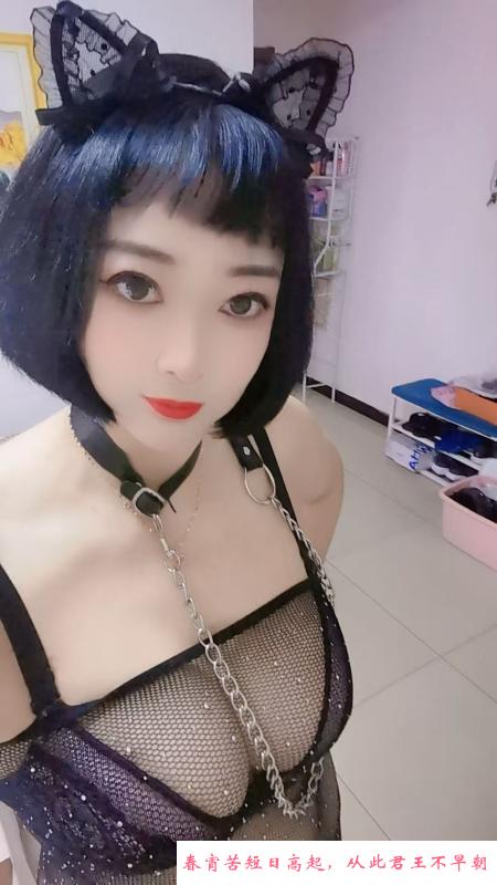 亦庄线红豆 第1张