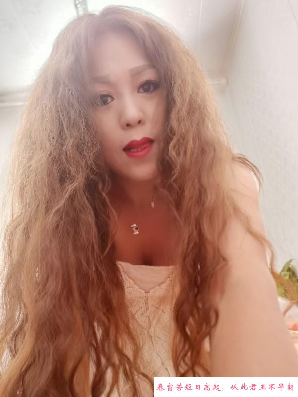 城西老嫂子 第1张