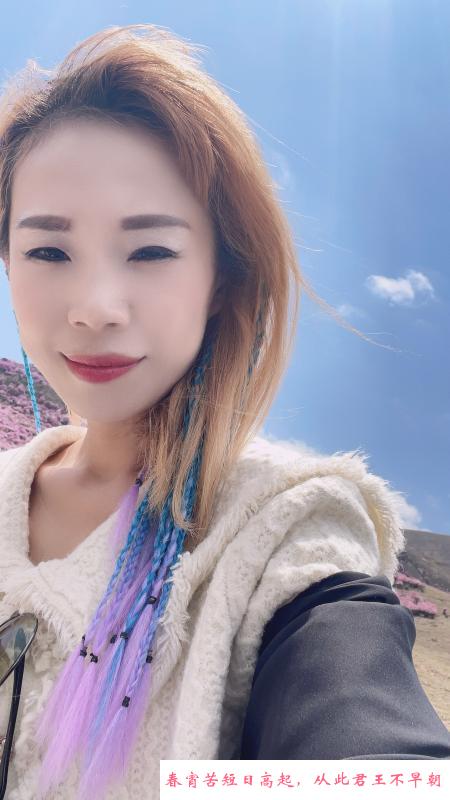 沈阳梦蝶 第2张