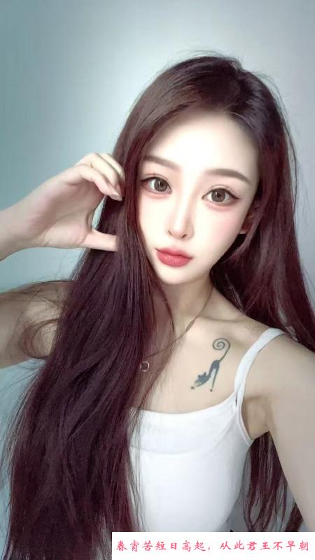 包河兔儿乖乖 第1张