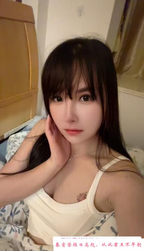 禪城乖乖 第1张