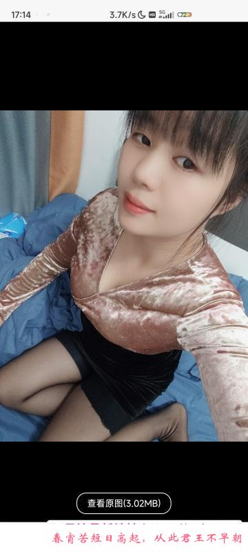 天河骚妇 第1张