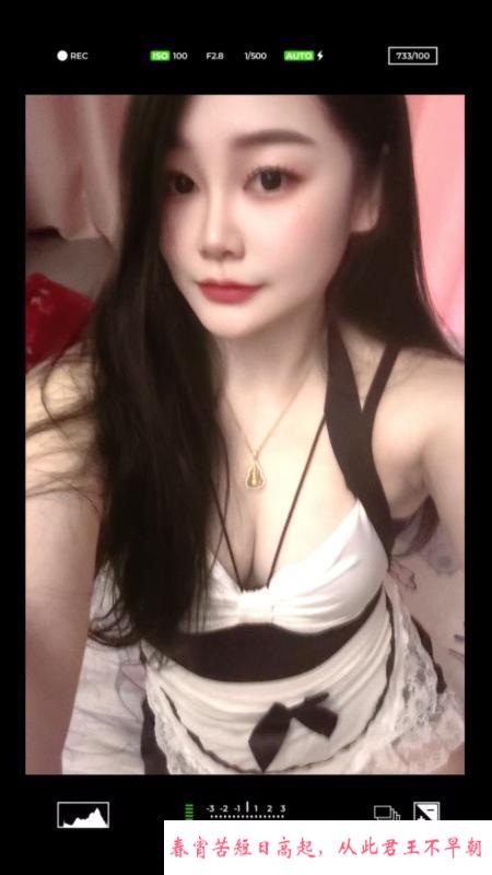 春今不打洋 第1张