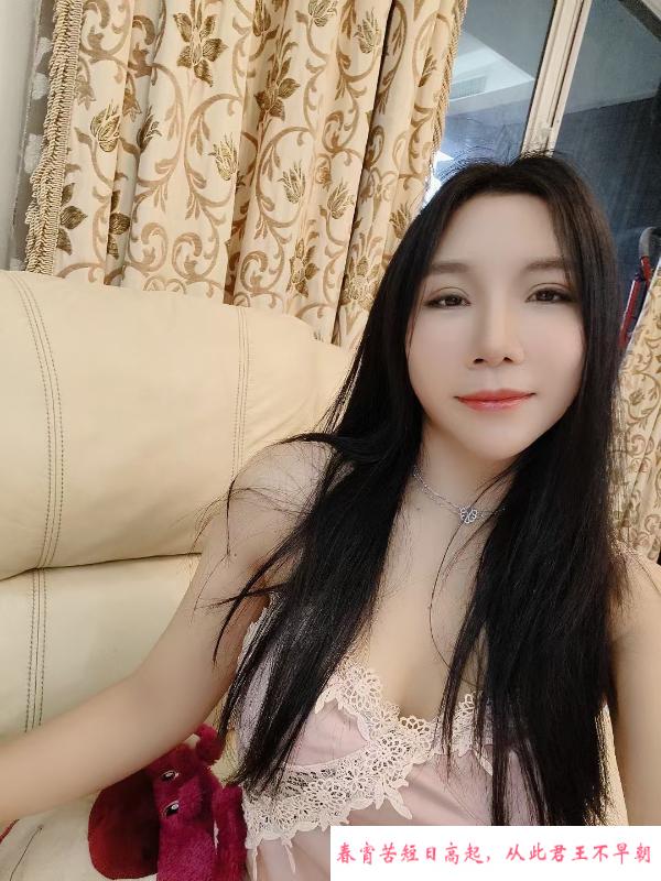 城西小蜜蜂服务系 第1张