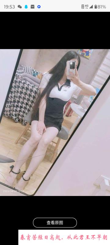 汉口奶兔 第1张