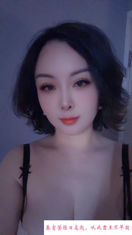 南昌蓝白猫 第1张