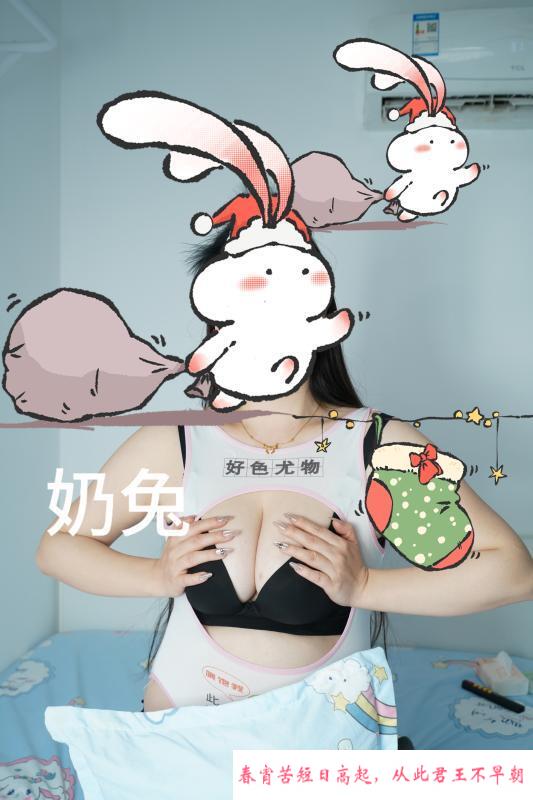 汉口奶兔 第3张