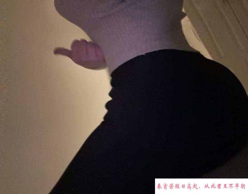 大东小黄莺 第1张
