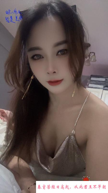 包河小猫咪 第1张
