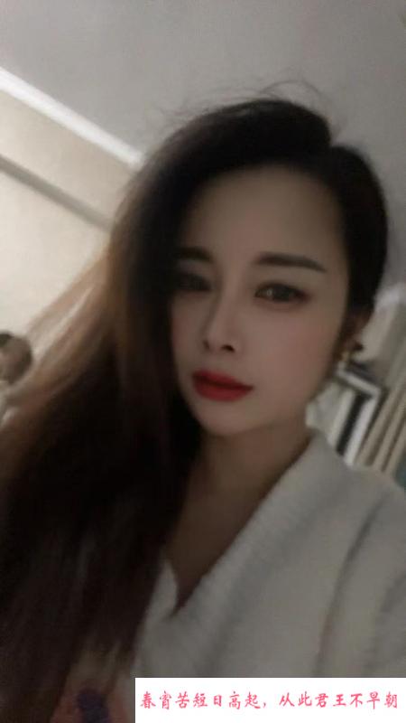 包河小猫咪 第2张