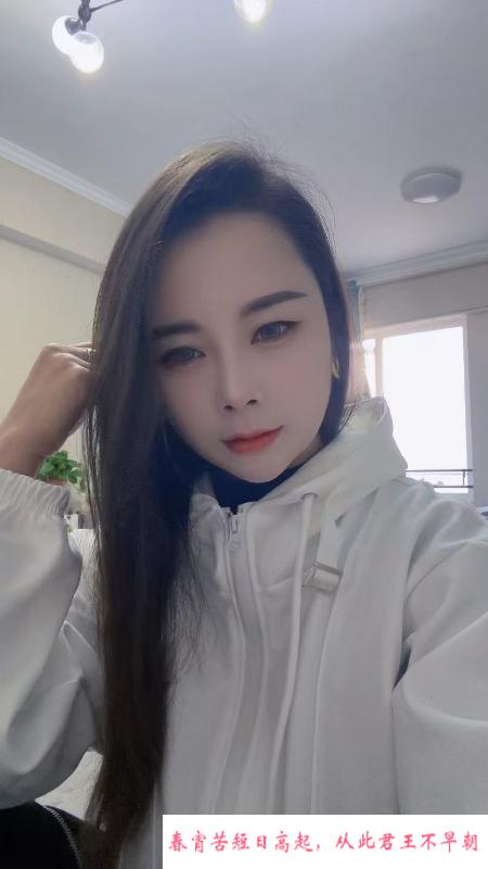 包河小猫咪 第3张