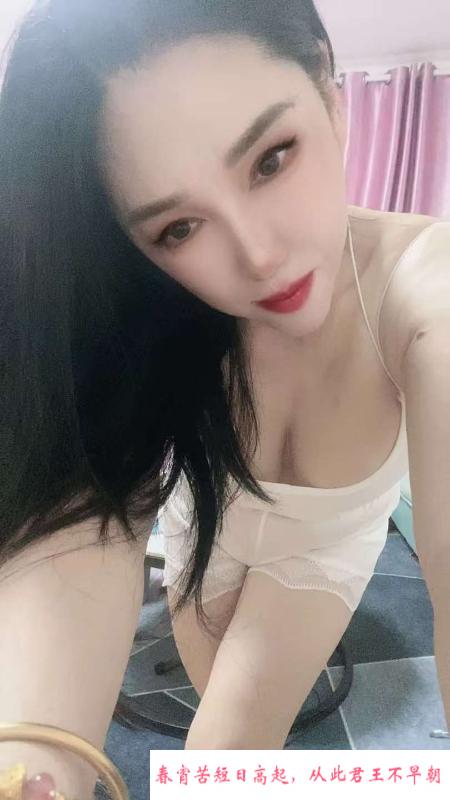 新区口奶牛 第3张