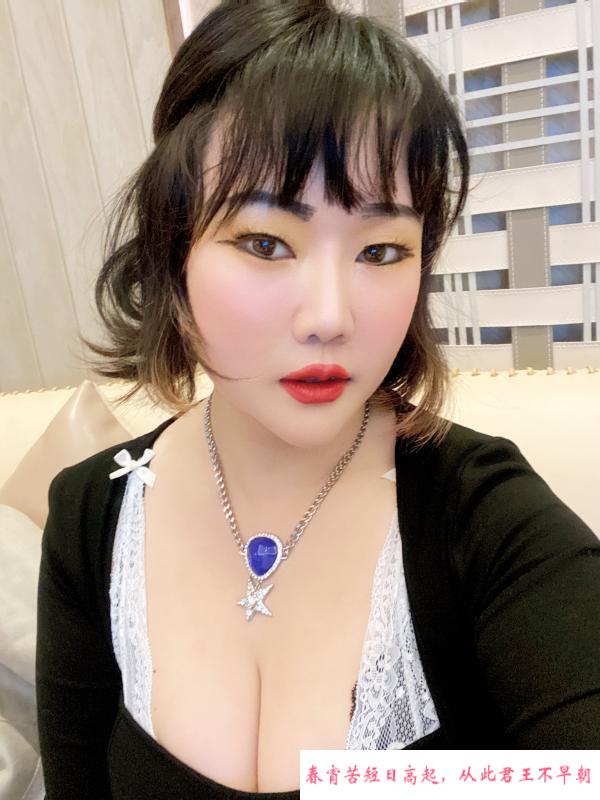 杭州发情小母猫 第1张