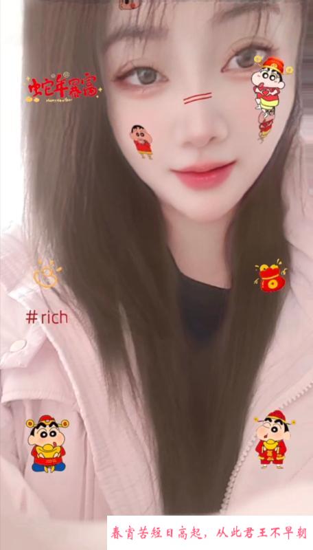 开发区懒猫回归 第1张