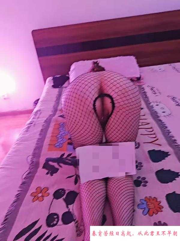 铁西糖糖妹子 第1张