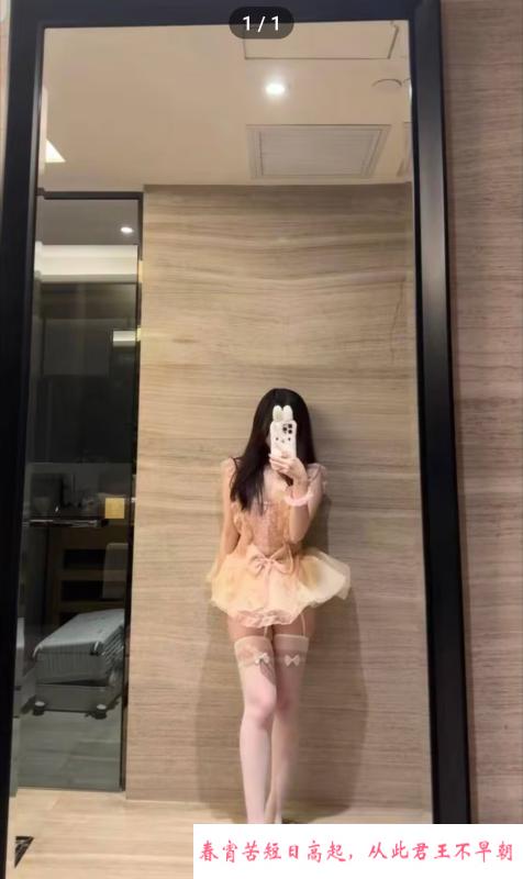 千羽宝贝回归 第1张