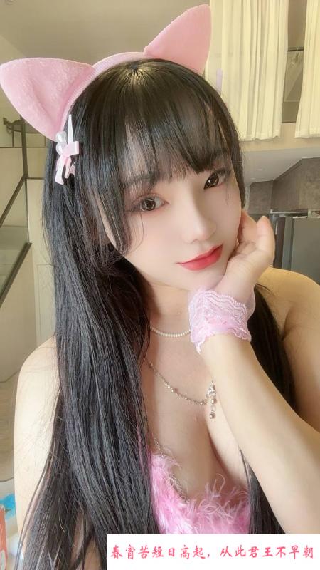 普陀小野猫 第2张