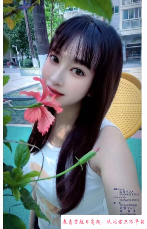 服务系湘湘 第3张