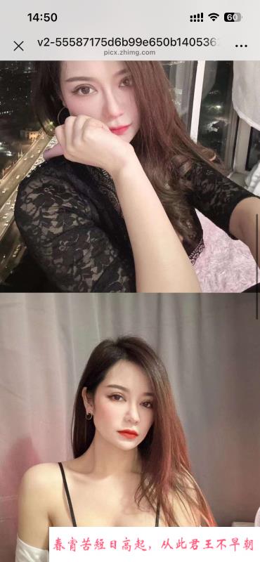 杨家湾米雪 第1张